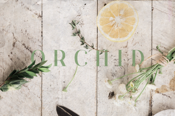 Orchid: The Elegant Serif for Wedding, Stationery & Brand Design